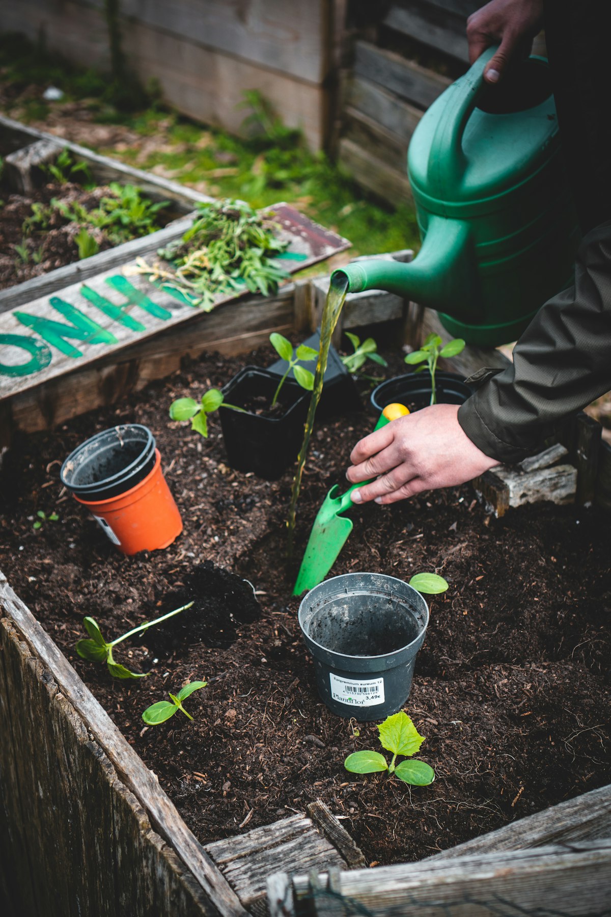 A volunteer tending to a garden bed